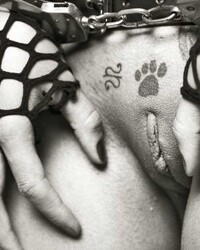 album-cover