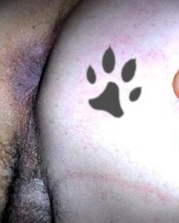 photo-thumb